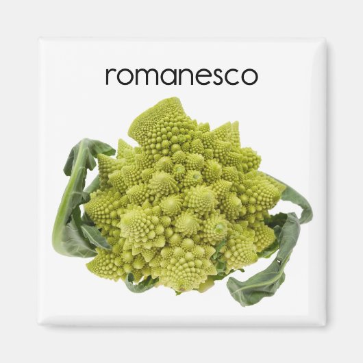 Romanesco Kühlschrank Magnet (Vorne)