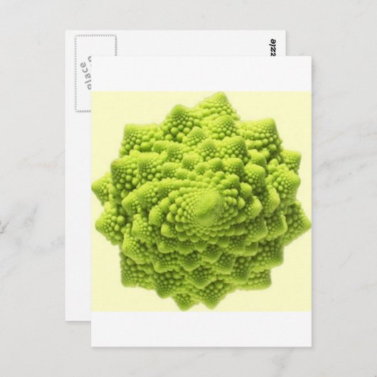 romanesco-phi postkarte (Vorne/Hinten)