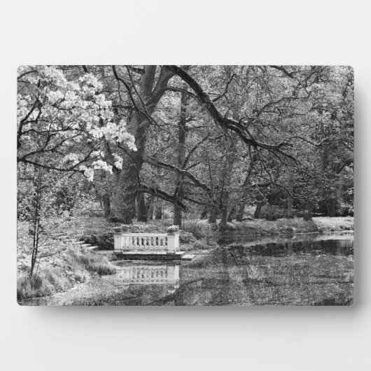 Romanischer See Fotoplatte (Vorderseite)