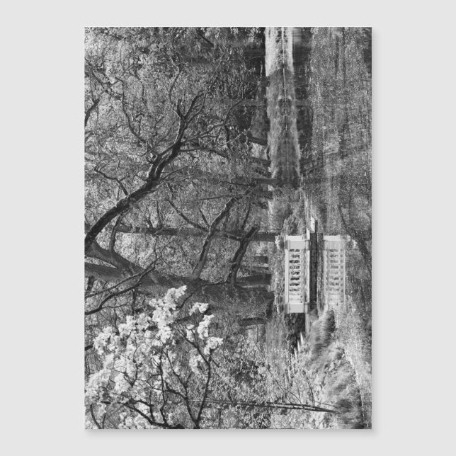 Romanischer See Magnetkarte (Vorderseite)