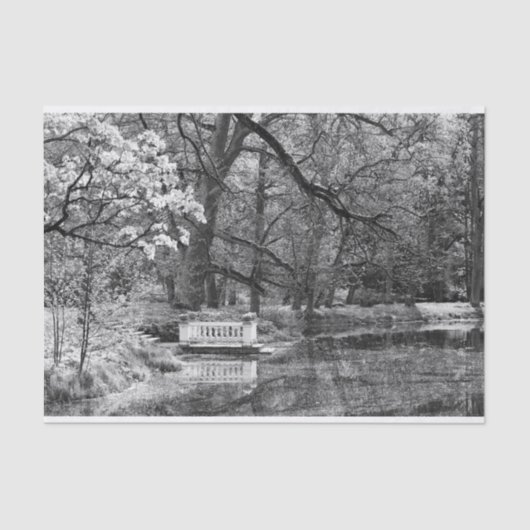 Romanischer See Seidenpapier (Vorderseite)