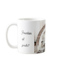 Romanischer Springbrunnen