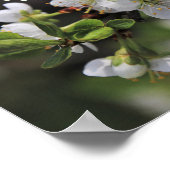 Romans 15:13 God of Hope White Flowers Poster (Ecke)