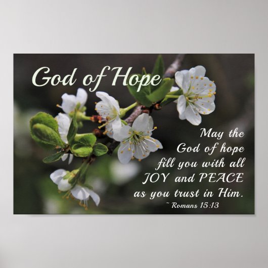 Romans 15:13 God of Hope White Flowers Poster (Vorne)