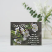 Romans 15:13 God of Hope White Flowers Postkarte (Stehend Vorderseite)