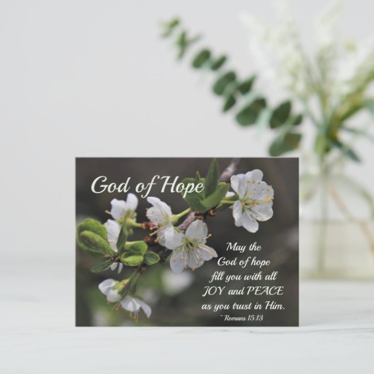 Romans 15:13 God of Hope White Flowers Postkarte (Stehend Vorderseite)
