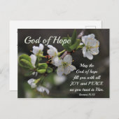 Romans 15:13 God of Hope White Flowers Postkarte (Vorne/Hinten)