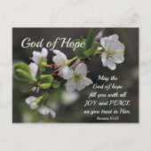 Romans 15:13 God of Hope White Flowers Postkarte (Vorderseite)