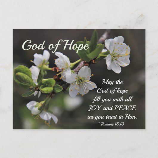 Romans 15:13 God of Hope White Flowers Postkarte (Vorderseite)