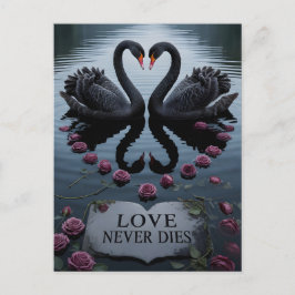 Romantic Black Swans Heart Reflection with Text Postkarte