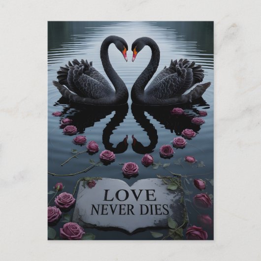 Romantic Black Swans Heart Reflection with Text Postkarte (Vorderseite)