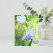 Romantic Blue Irises Postkarte (Stehend Vorderseite)