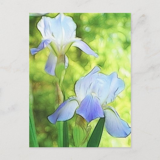 Romantic Blue Irises Postkarte (Vorderseite)