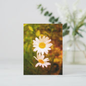 Romantic Flowers – Botanical Daisy Сouple Postkarte (Stehend Vorderseite)