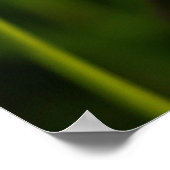 Romantic Flowers – Botanical Fantasy Boho Poster (Ecke)