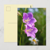 Romantic Flowers – Botanical Fantasy Boho Postkarte (Vorne/Hinten)