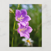 Romantic Flowers – Botanical Fantasy Boho Postkarte (Vorderseite)