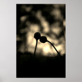 Romantic Moody Flowers – Botanical Fantasy Boho Poster (Vorne)