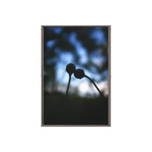 Romantic Moody Flowers – Botanical Fantasy Couple