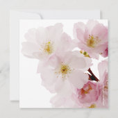 Romantic Pink Cherry Blossoms Bridal Shower Einladung (Rückseite)