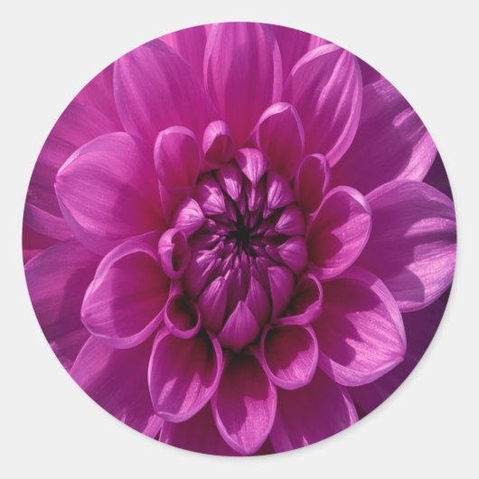 Romantic Rosy Floral Runder Aufkleber (Vorderseite)