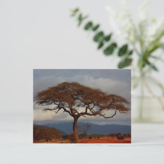 Romantic Safari Africa Bridal Danke, Karten (Stehend Vorderseite)