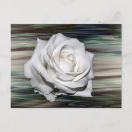 Romantic Safari Floral Guest Brautparty Destiny Einladungspostkarte