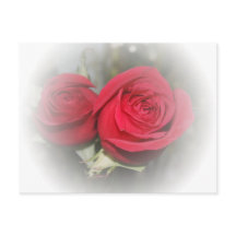 Romantic Soft Red Roses