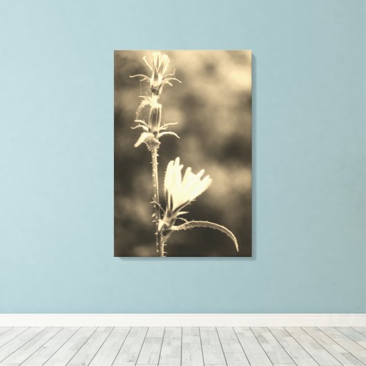 Romantic Trees & Flowers – Botanical Fantasy Boho  Leinwanddruck (Insitu (Holzboden))