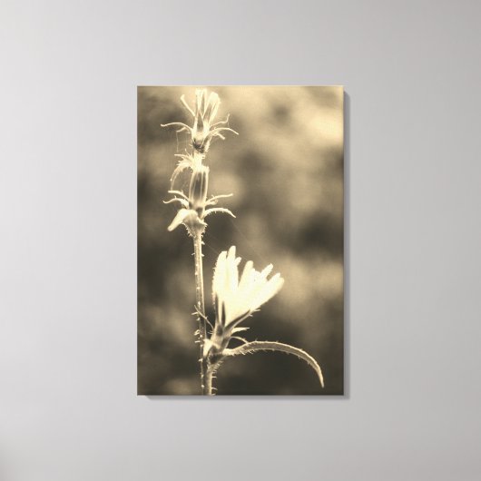 Romantic Trees & Flowers – Botanical Fantasy Boho  Leinwanddruck (Vorderseite)