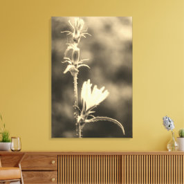 Romantic Trees & Flowers – Botanical Fantasy Boho  Leinwanddruck