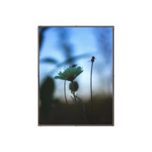 Romantic Trees & Flowers – Botanical Fantasy Boho