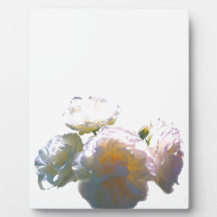 Romantic white, yellow, orange, golden amber roses fotoplatte