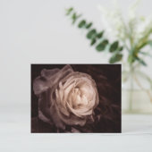 Romantica - diese Rose sagt Liebe Postkarte (Stehend Vorderseite)