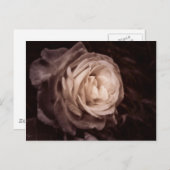 Romantica - diese Rose sagt Liebe Postkarte (Vorne/Hinten)