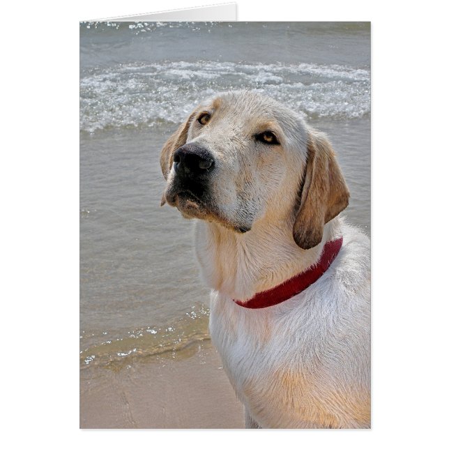 Romantik abrufen (Vorne)