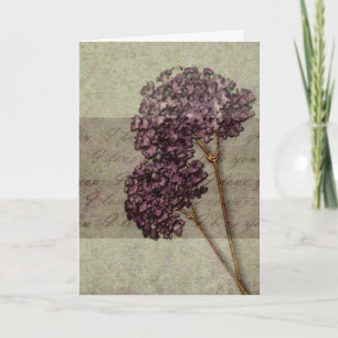 Romantik I Liebe You Karte