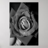 Romantik Poster (Vorne)