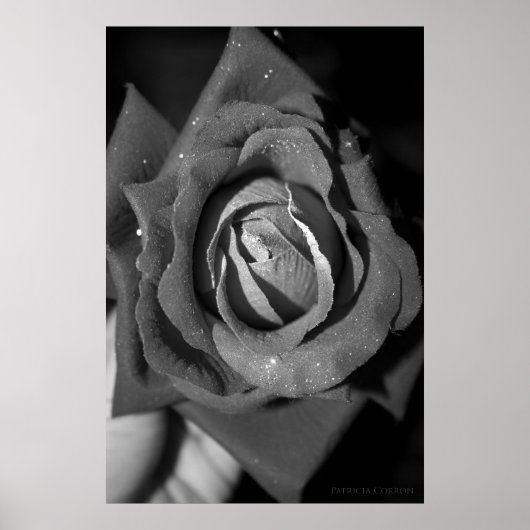 Romantik Poster (Vorne)