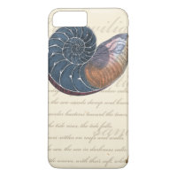 Romantik Seashell
