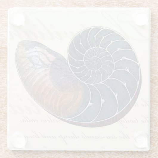 Romantik Seashell Glasuntersetzer (Rückseite)