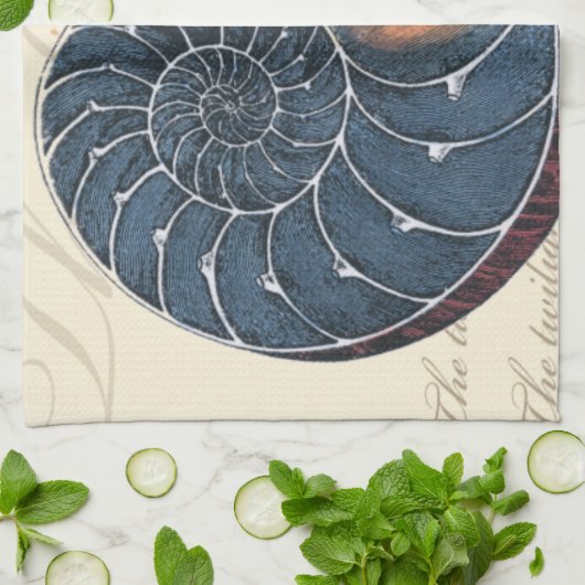 Romantik Seashell Handtuch (Gefaltet)