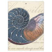 Romantik Seashell Klemmbrett (Rückseite)