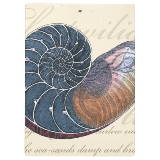 Romantik Seashell Klemmbrett (Rückseite)