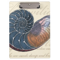 Romantik Seashell