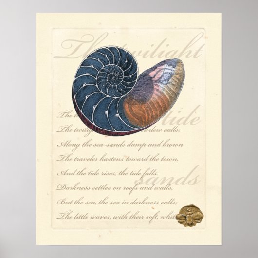 Romantik Seashell Poster (Vorne)