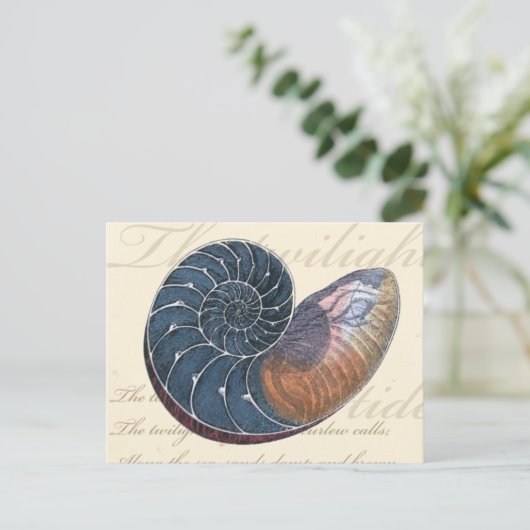 Romantik Seashell Postkarte (Stehend Vorderseite)