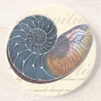 Romantik Seashell