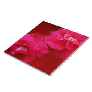 Romantik und Rote Rose Fliese