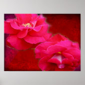 Romantik und Rote Rosen Poster (Vorne)